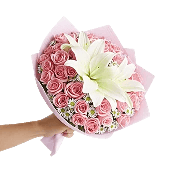 Blossom Harmony Display