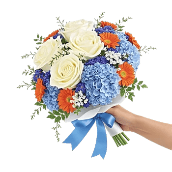 Serene Petal Harmony