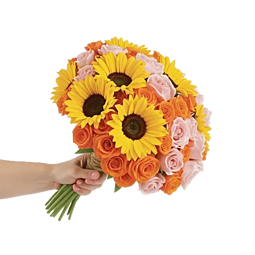 Twinkling Sunflower Dance