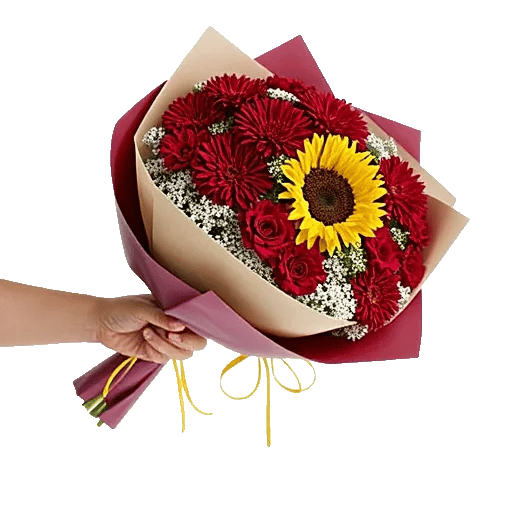 Crimson Rose Elegance