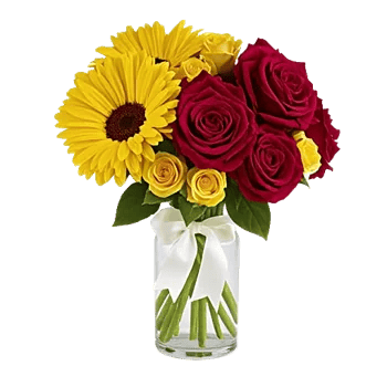 Petal Radiance Bliss