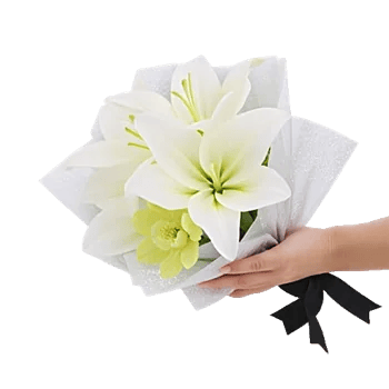 Minimalist White Orchids