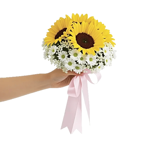 Twinkling Sunflower Dance