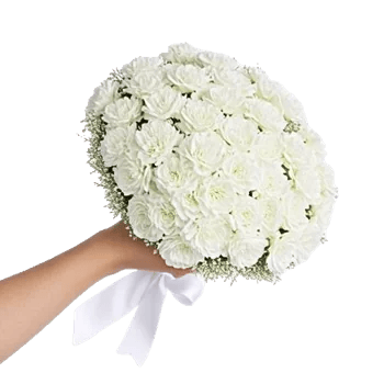 Delicate Petal Cascade