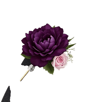 Plum Blossom Radiance