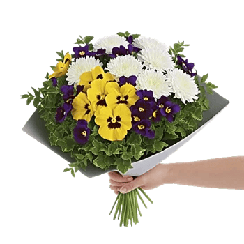 Ivory Blossom Radiance