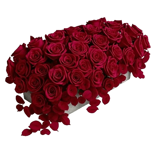 Delicate Petal Cascade