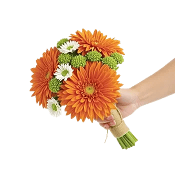 Radiant Bloom Cascade