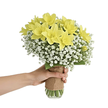 Dewy Morning Blossoms