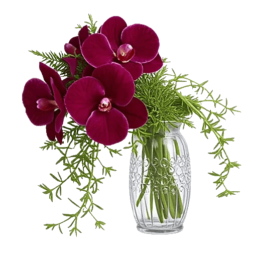 Orchid Bloom Cascade