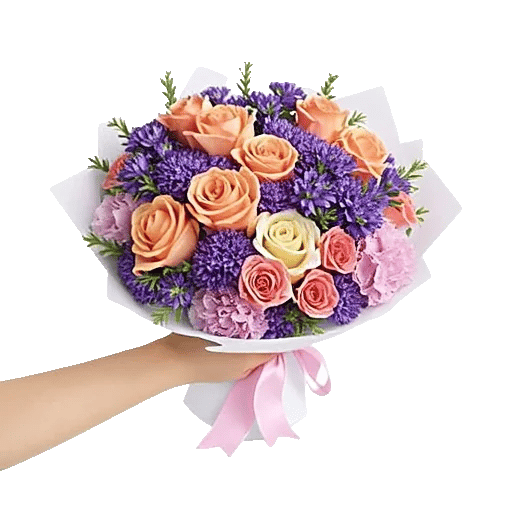 Blushing Rose Symphony