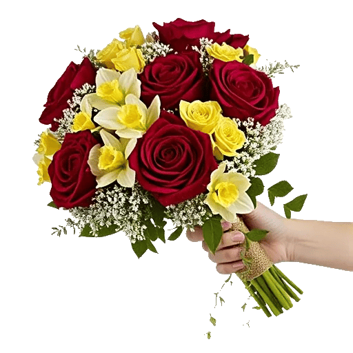 Crimson Rose Elegance