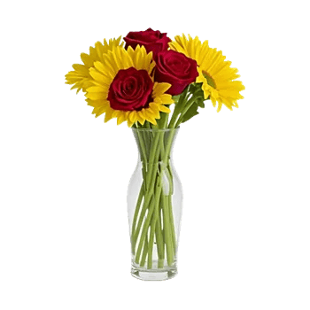 Radiant Bloom Cascade