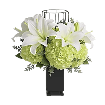 Ivory Blossom Radiance