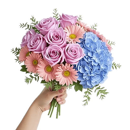 Serene Petal Harmony