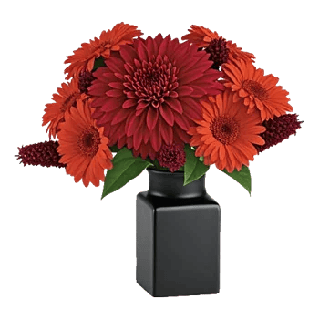 Crimson Blossom Harmony