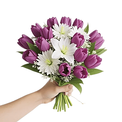 Velvet Tulip Display