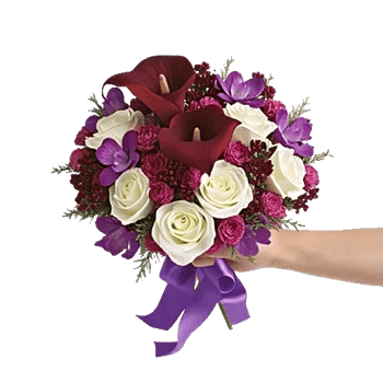 Elegant Calla Lilies