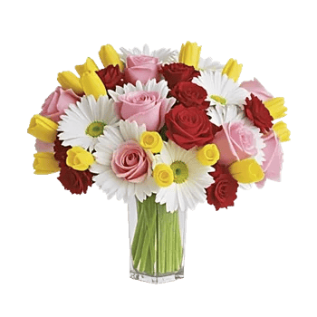 Radiant Petal Display