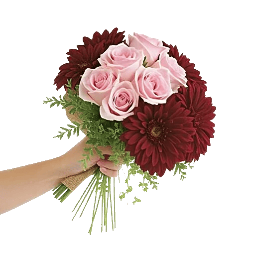 Blushing Rose Symphony