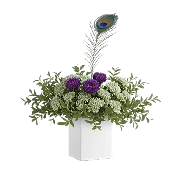 Minimalist White Orchids