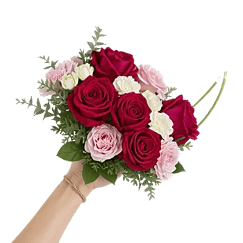 Crimson Rose Elegance