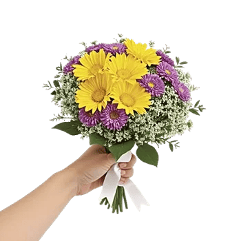 Blossom Harmony Display