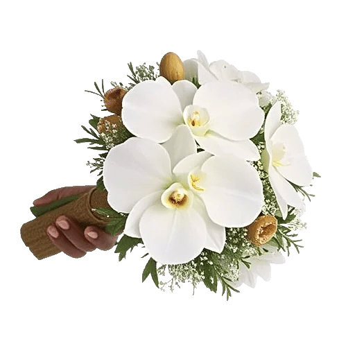 Modern White Orchids