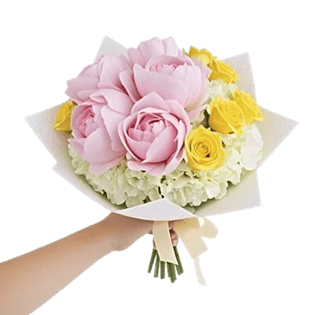 Peony Petal Harmony