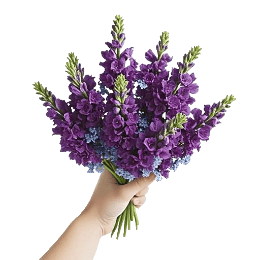 Lavender Bloom Grace