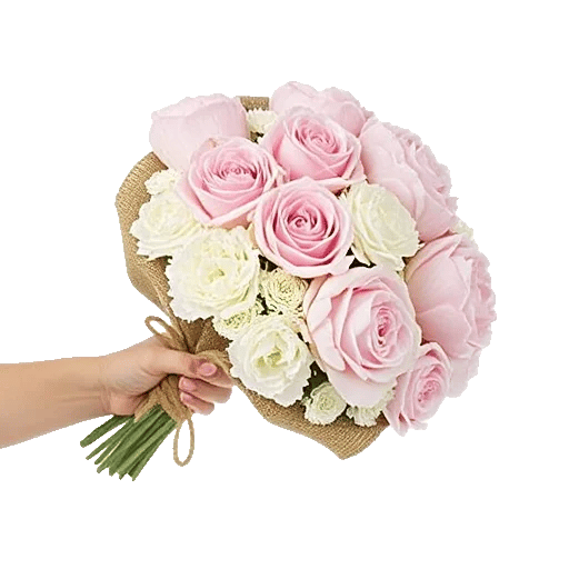 Pastel Pink Roses