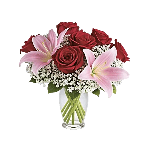 Crimson Rose Elegance