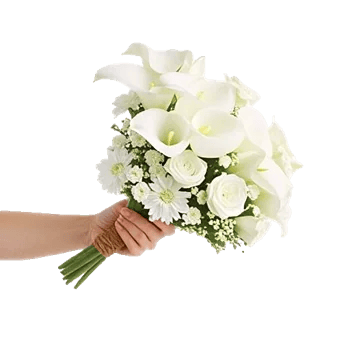 Elegant Calla Lilies