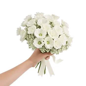 Blushing Rose Symphony