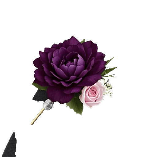 Plum Blossom Radiance