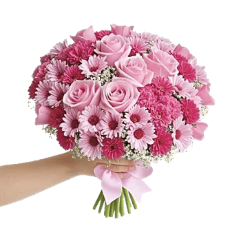 Pastel Pink Roses