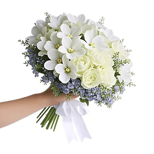 Minimalist White Orchids