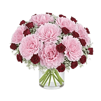 Pink Pastel Roses