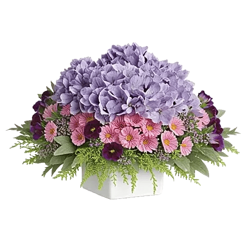 Serene Petal Harmony