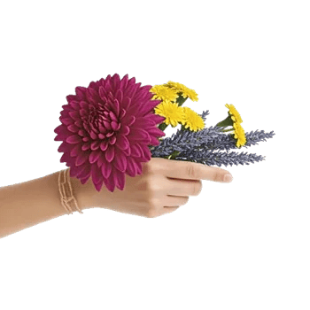 Crimson Blossom Harmony