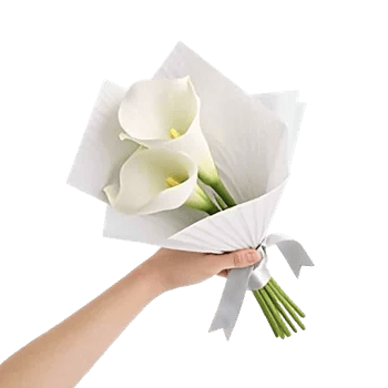 Elegant Calla Lilies