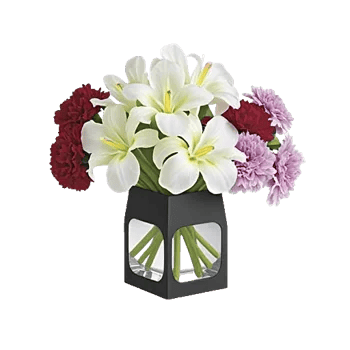 Ivory Blossom Radiance