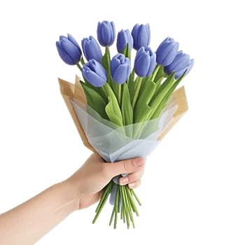 Velvet Tulip Display