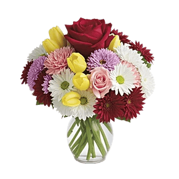 Crimson Blossom Harmony