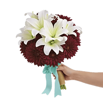 Elegant Calla Lilies