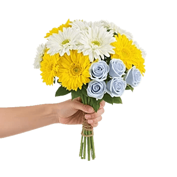 Blossom Harmony Display