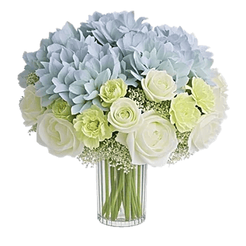 Ivory Blossom Radiance