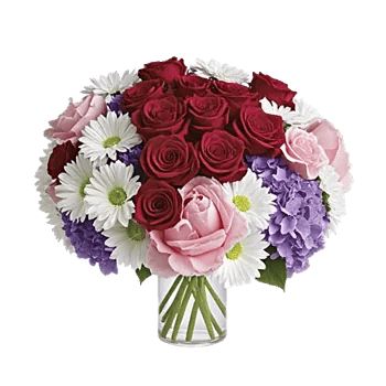 Crimson Blossom Harmony