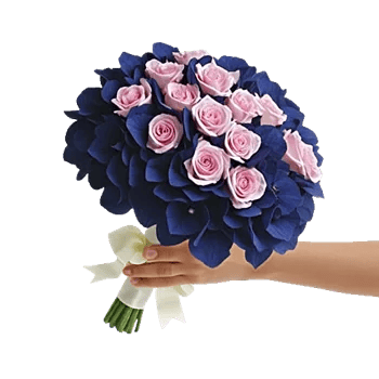 Serene Petal Harmony