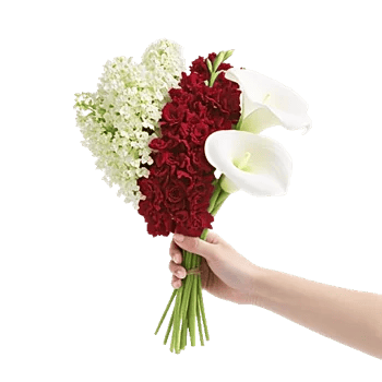 Elegant Calla Lilies